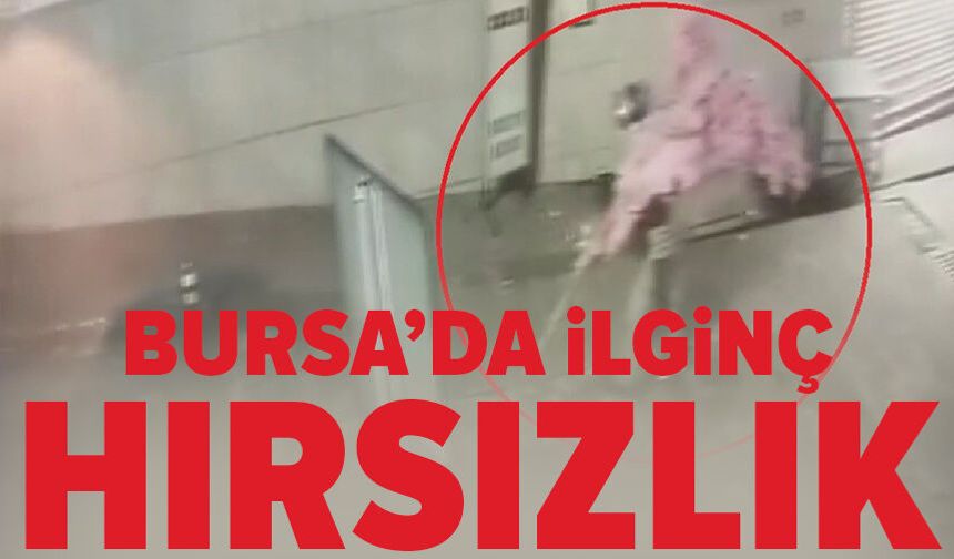 Bursa'da 'Bir kafeden daha fazlası' yazısını fark etti, ağacı sırtlayıp gitti