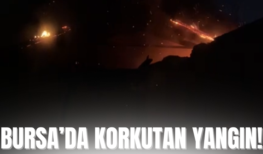 Bursa’da korkutan işyeri yangını