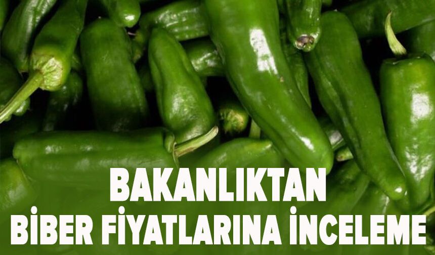 Bakanlıktan biber fiyatlarına inceleme