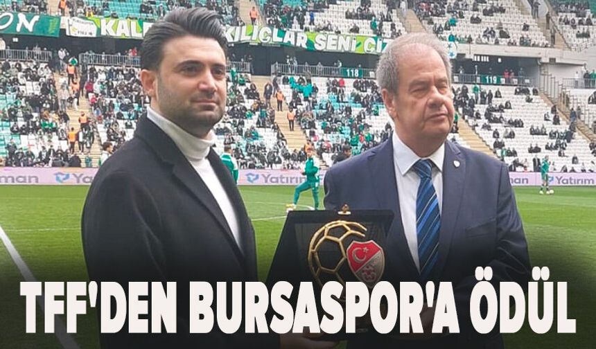 TFF'den Bursaspor'a 6-0'lık maç sonrası ödül