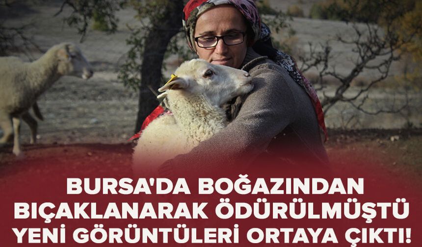 Bursa'da boğazından bıçaklanarak öldürülen kadının eski görüntüleri ortaya çıktı