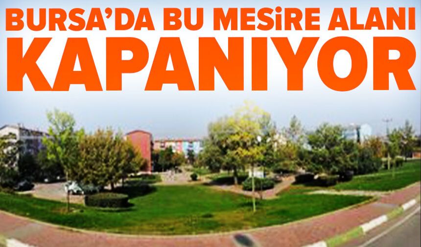 Bursa'da Hamitler Mesire Alanı 3 ay kapalı kalacak