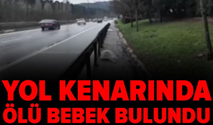 İstanbul'da yol kenarında ölü bebek bulundu