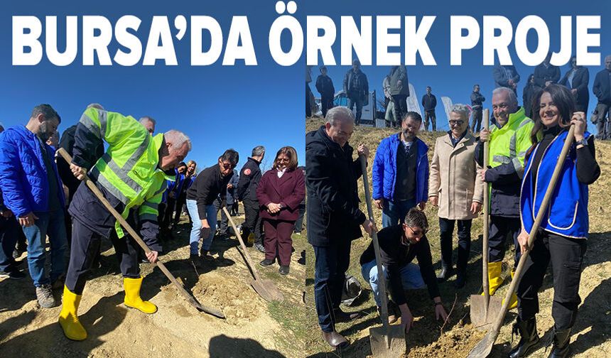 Bursa'da örnek proje: Atıl arazi ormana dönüşüyor