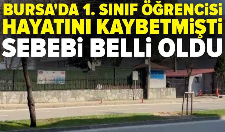 Bursa'da 7 yaşındaki ilkokul öğrencisi hayatını kaybetmişti: Sebebi belli oldu