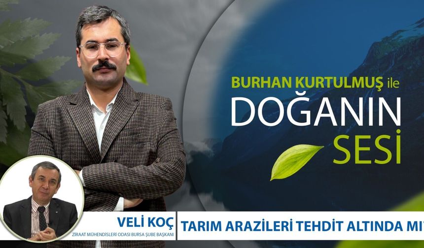 Tarım Arazileri Tehdit Altında mı? | Veli Koç - TMMOB Ziraat Mühendisleri Odası Bursa Şube Başkanı