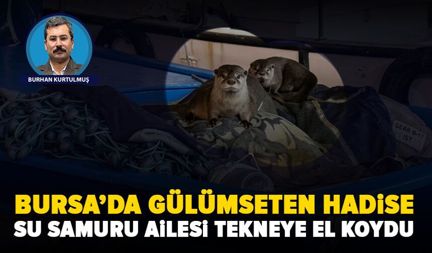 Bursa Gemlik’te sevimli ziyaretçiler: Aç kalan anne su samuru yavrularıyla tekneye sığındı