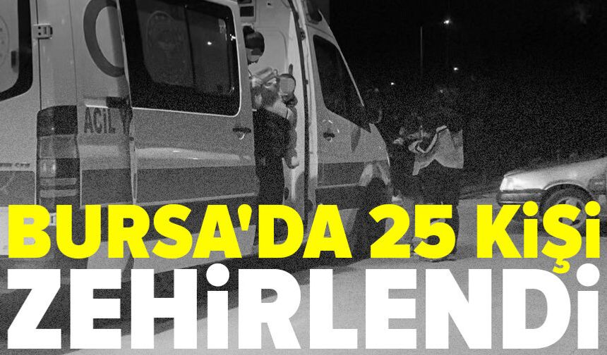Bursa'da tavuk döner yiyen 25 kişi zehirlendi