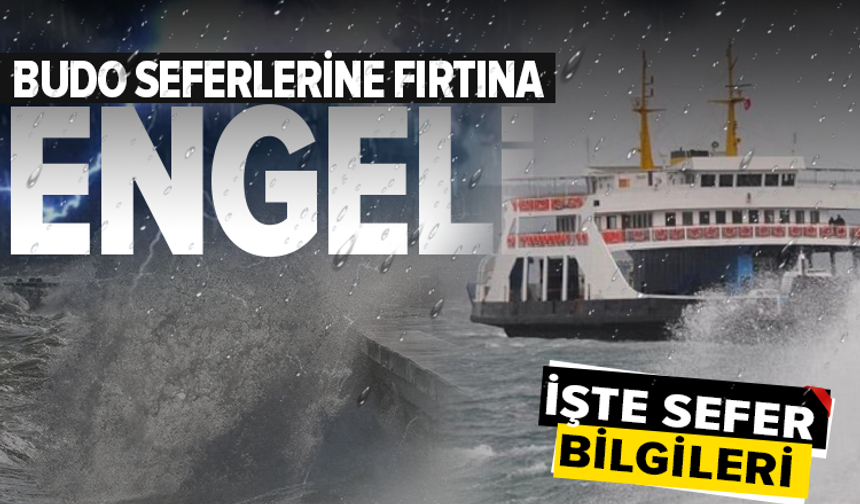 Bursa-İstanbul deniz otobüsü seferlerine olumsuz hava engeli