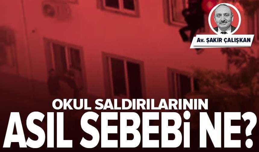Okul saldırılarının asıl sebebi ne?