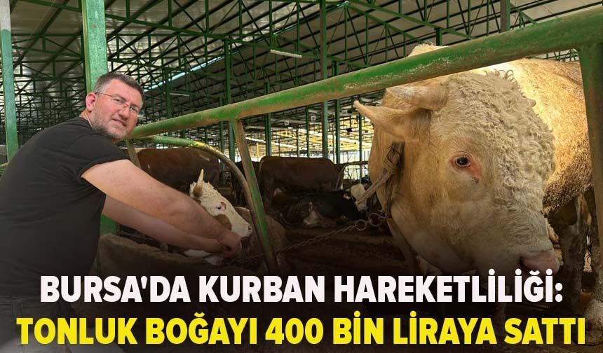 Bursa'da kurban hareketliliği: Tonluk boğayı 400 bin liraya sattı