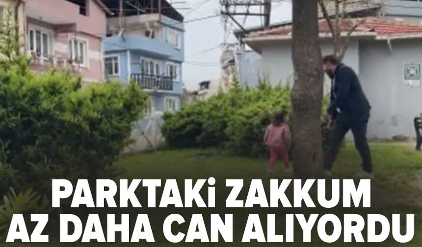 Bursa'da Parktaki Zakkum Az Daha Can Alıyordu