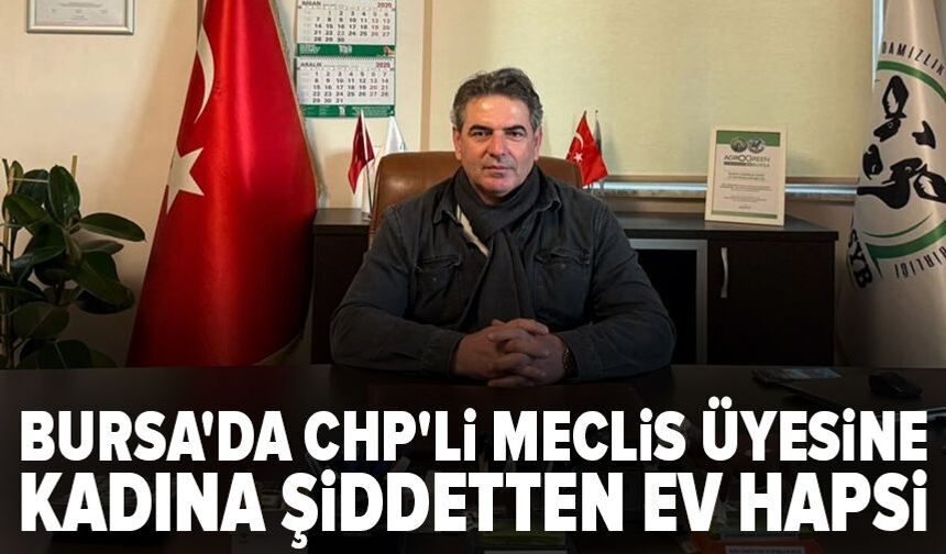 Bursa'da CHP'li meclis üyesine kadına şiddetten ev hapsi