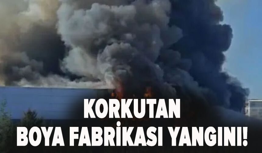 Korkutan boya fabrikası yangını!