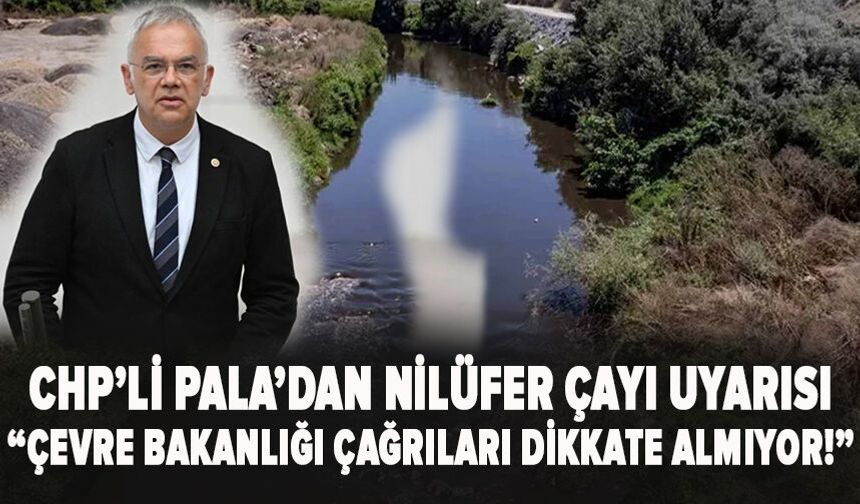 CHP’li Pala’dan Nilüfer Çayı uyarısı: “Çevre Bakanlığı çağrıları dikkate almıyor!”