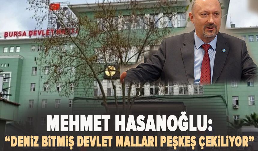 Mehmet Hasanoğlu: “Deniz Bitmiş, Devlet Malları Peşkeş Çekiliyor”