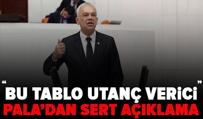 Kayıhan Pala: “Bu tablo utanç verici!”
