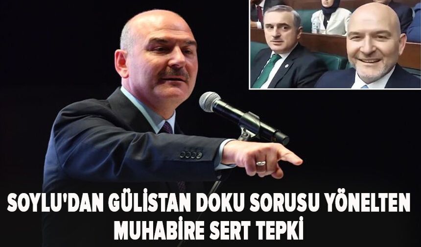 Soylu'dan Gülistan Doku sorusu yönelten muhabire sert tepki