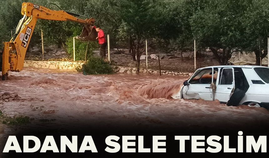 Adana sele teslim