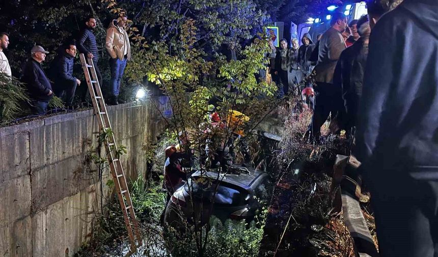 Sakarya'da otomobil dereye uçtu: 1 yaralı