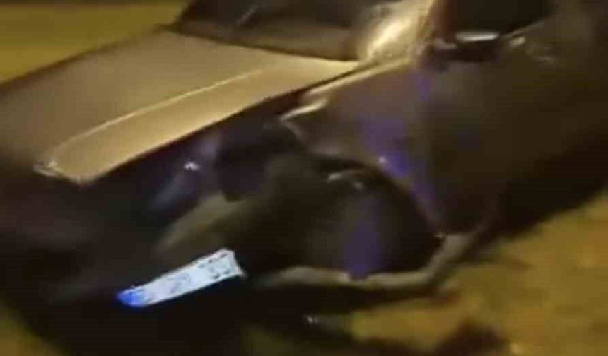 Zonguldak'taki trafik kazasında 2'si çocuk 5 kişi yaralandı