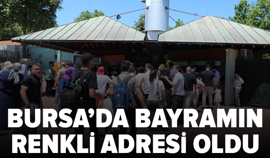 Bursa Hayvanat Bahçesi'ne yoğun ilgi