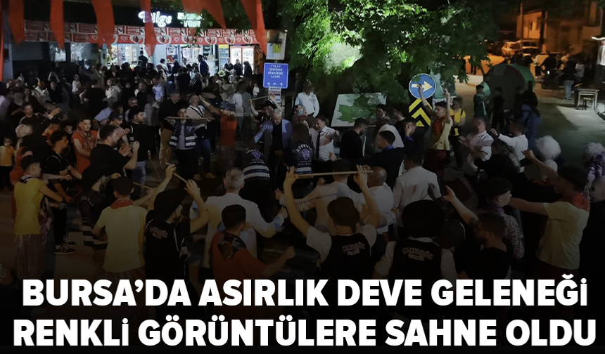 Bursa'da 157 yıllık deve eğlencesi yaşatıldı
