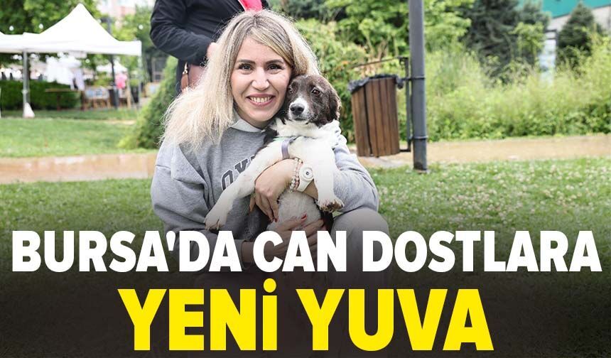 Bursa'da can dostlara yeni yuva