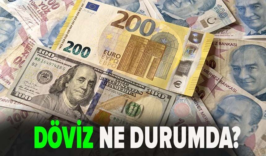 Dolar kaç TL oldu, Euro ne kadar?