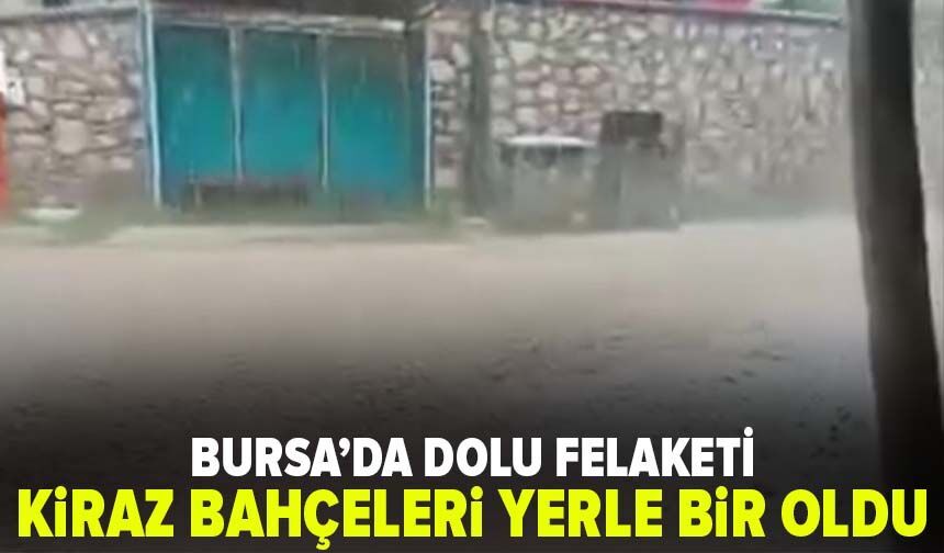 Bursa’da dolu felaketi