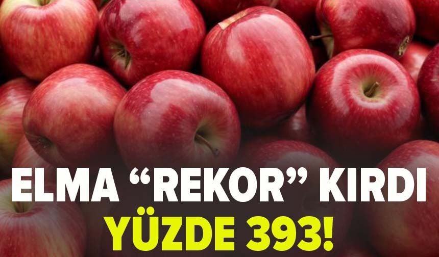Elma "rekor" kırdı!