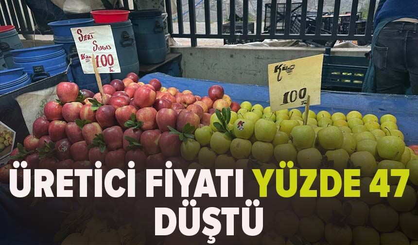 Üretici fiyatı yüzde 47 düştü