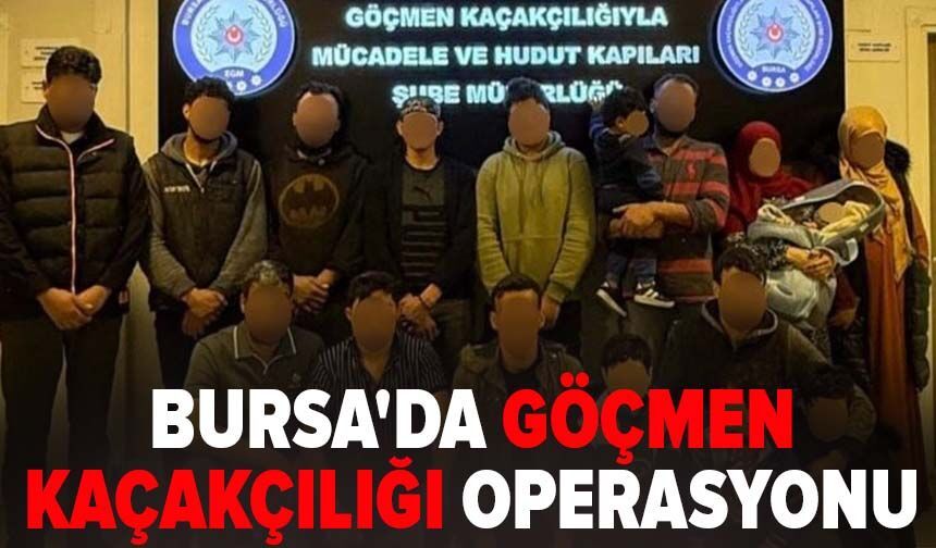 Bursa'da göçmen kaçakçılığı operasyonu
