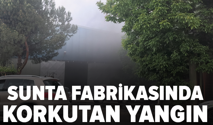 Sunta fabrikasında yangın çıktı