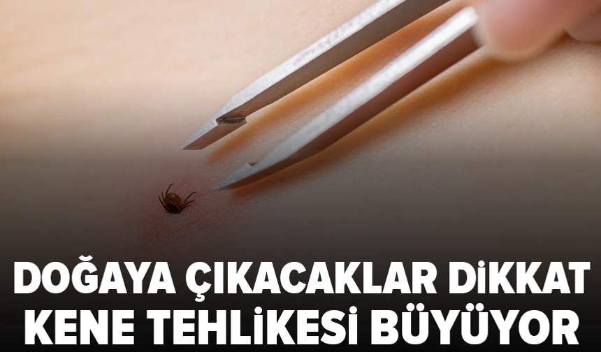 Kene vakaları artıyor: Yanlış müdahale risk yaratıyor