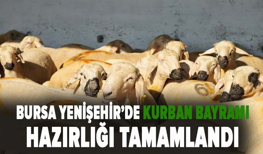 Bursa Yenişehir'de kurban satış yeri ve mezbaha bayrama hazır
