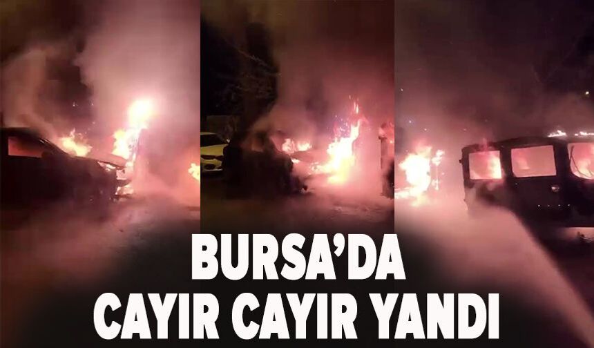 Bursa'da cayır cayır yandı!
