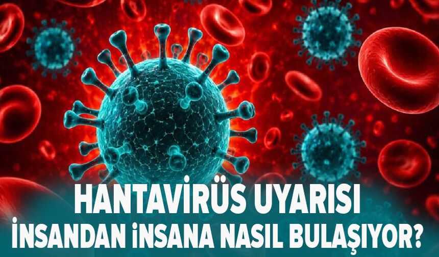 Hantavirüs uyarısı: İnsandan insana nasıl bulaşıyor?
