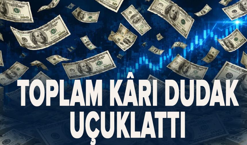 Toplam kârı dudak uçuklattı