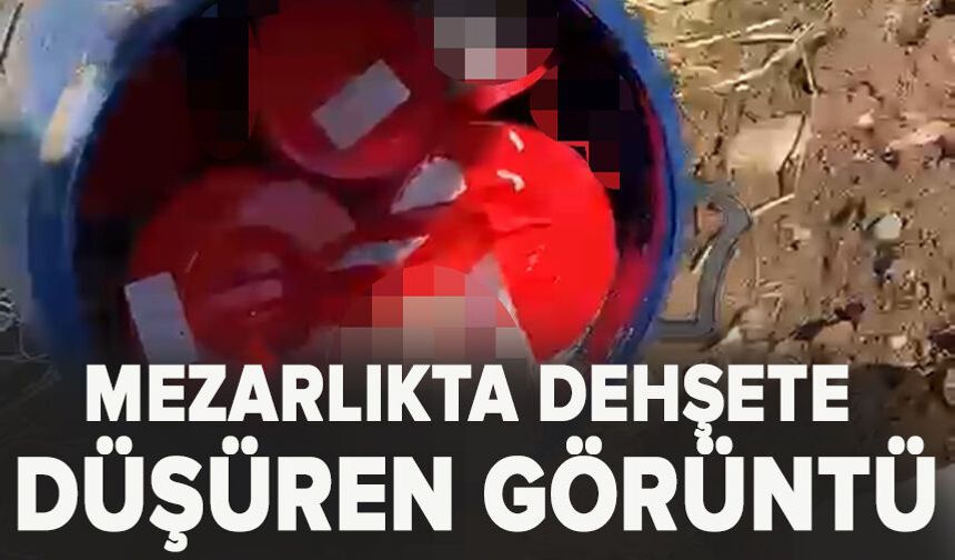 Plastik kutularda 21 cenin bulundu!