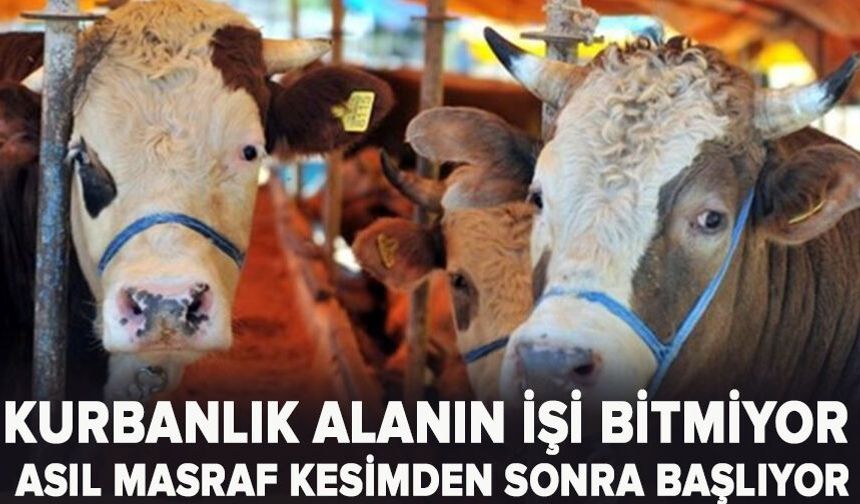 Kurbanlık alanın işi bitmiyor: Asıl masraf kesimden sonra başlıyor