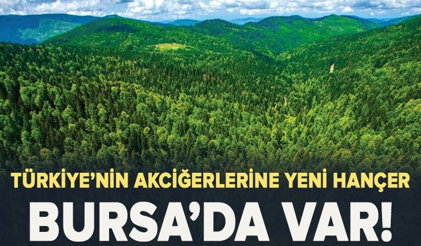Türkiye’nin akciğerlerine yeni hançer! Bursa'da var
