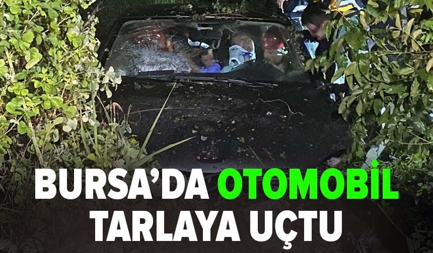 Bursa'da otomobil tarlaya uçtu: 4 yaralı