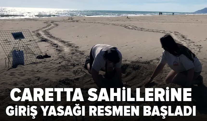 Deniz kaplumbağaları için sahillerde gece yasağı