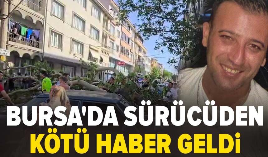 Bursa'da ağacın altında kalan sürücünün durumu ağır
