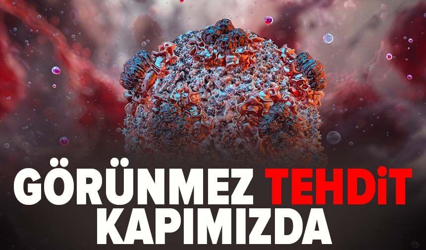 Dünyayı alarma geçiren Hantavirüs meğer Türkiye'de görülmüş