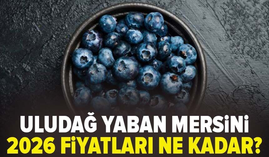Uludağ Yaban Mersini’nde 2026 fiyatları belli oldu