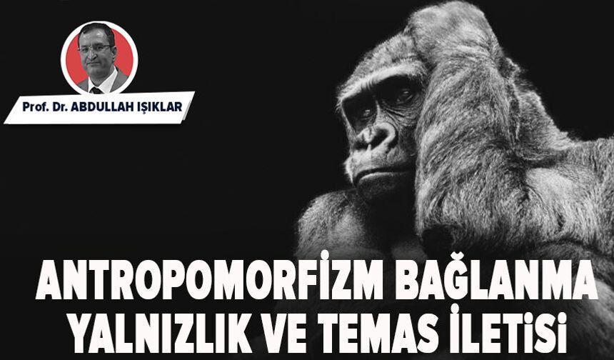Antropomorfizm, Bağlanma, Yalnızlık ve Temas İletisi