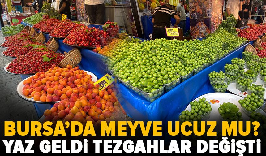 Bursa’da yaz meyveleri cep yakıyor!