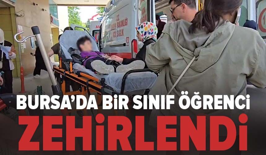 Bursa'da bir sınıf öğrenci zehirlendi
